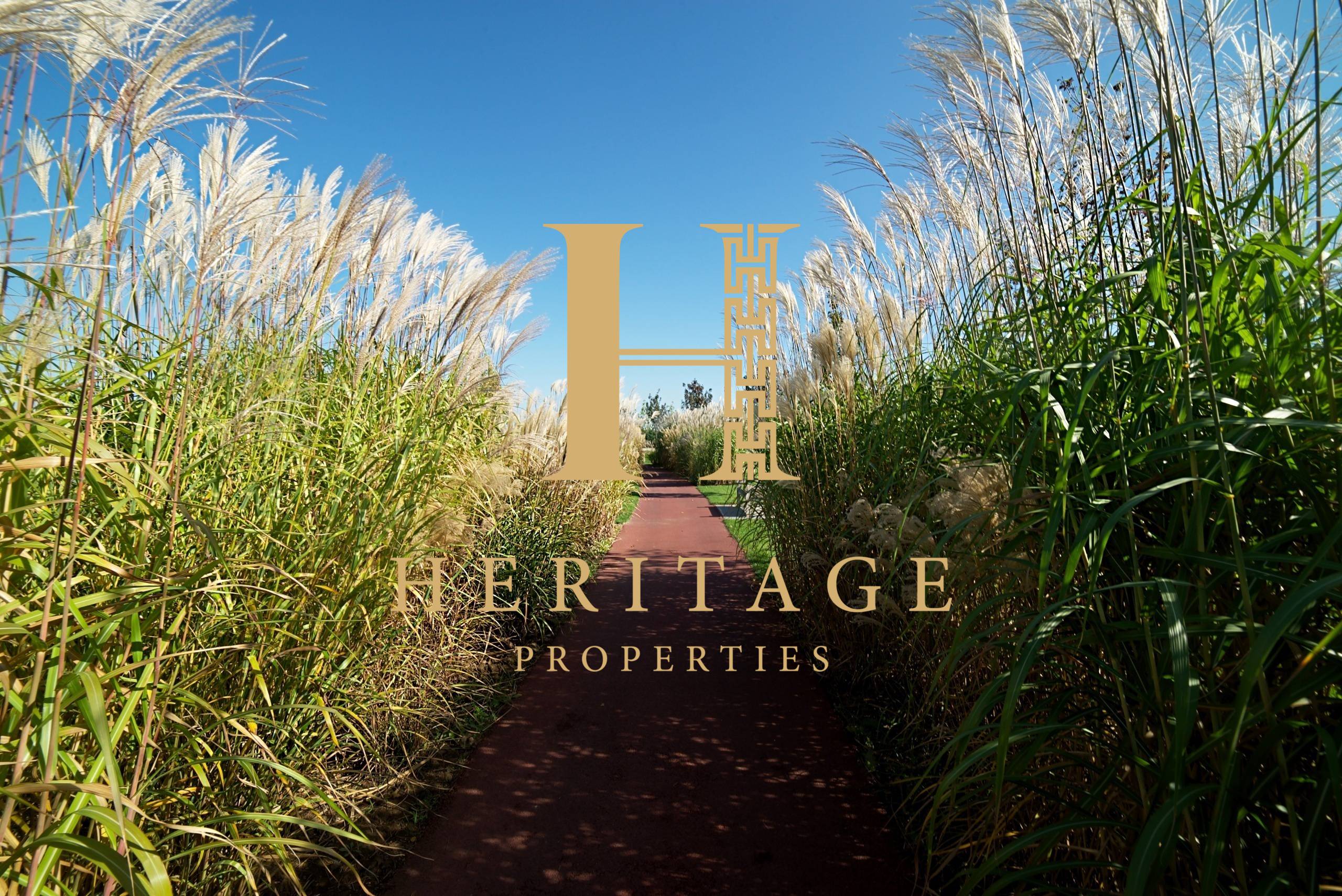 proprietate photo