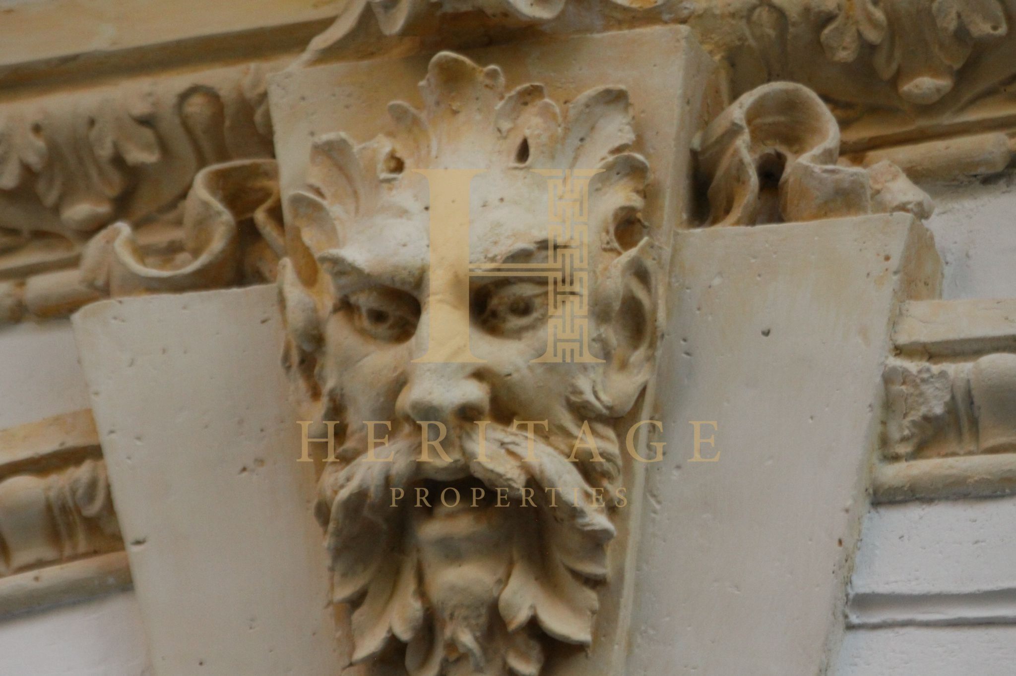proprietate photo